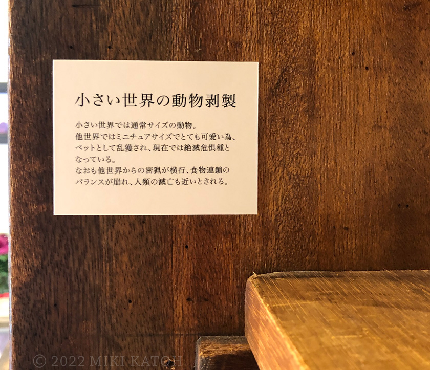 加藤美紀個展